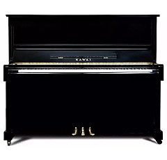 Kawai NS25
